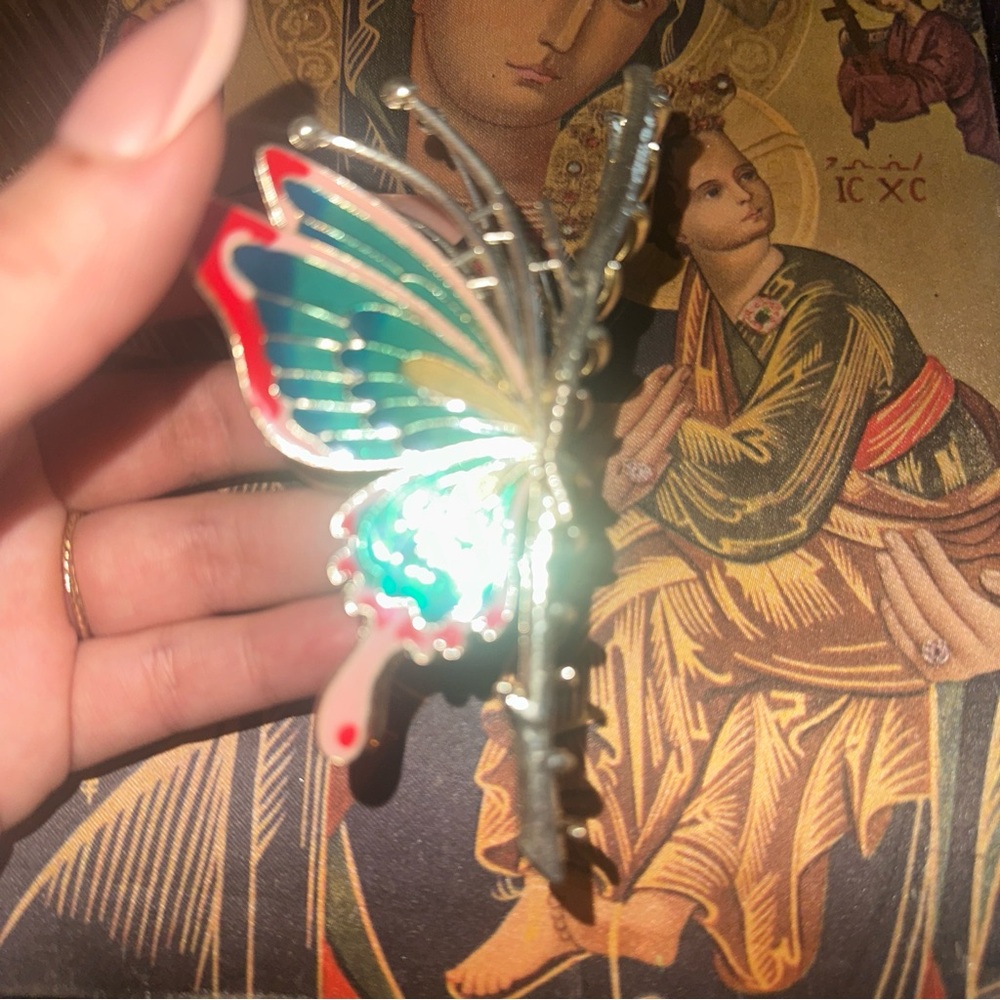 Butterfly Clip 🦋